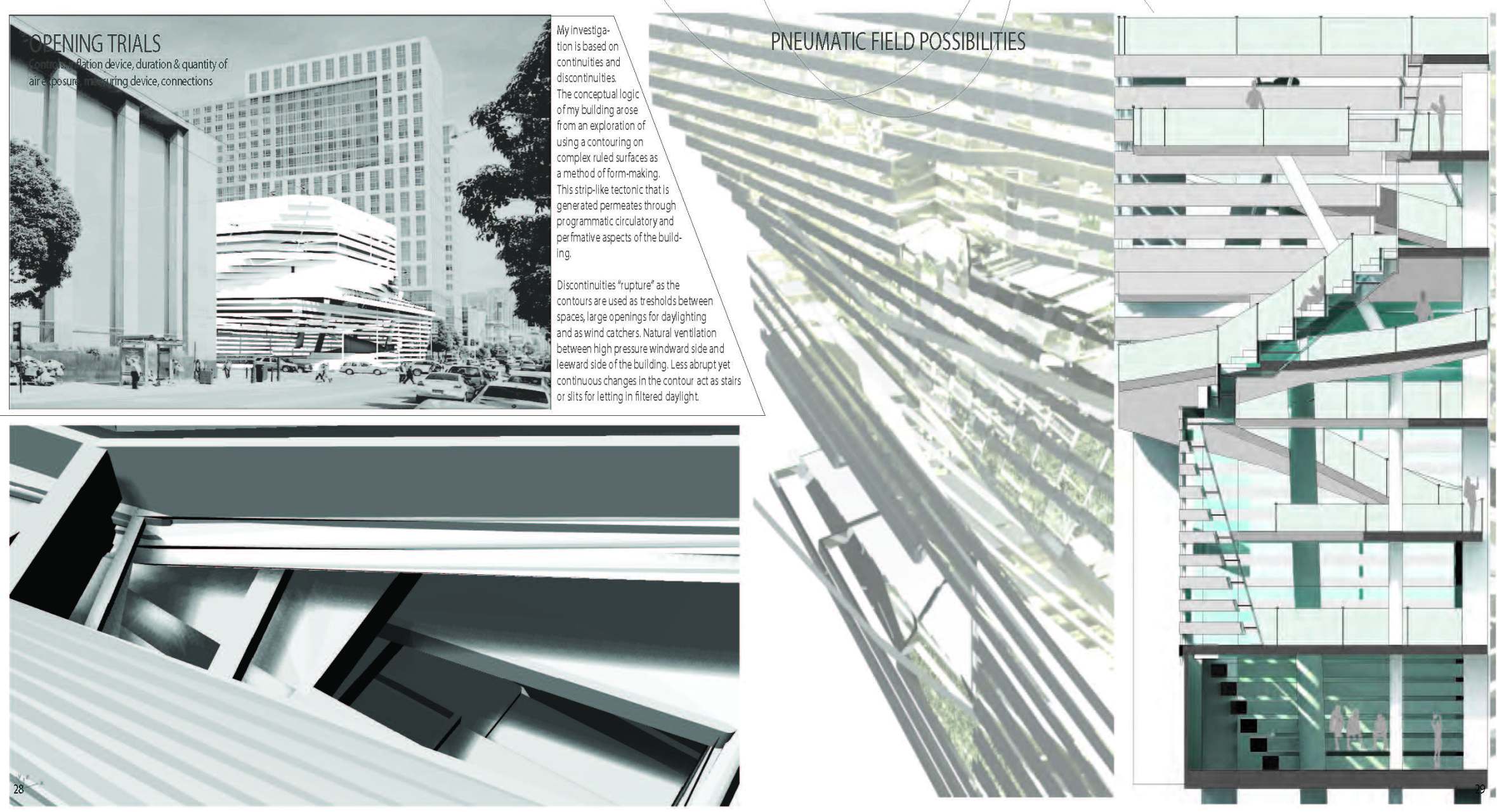 Pelin Ozgul_project 10 2