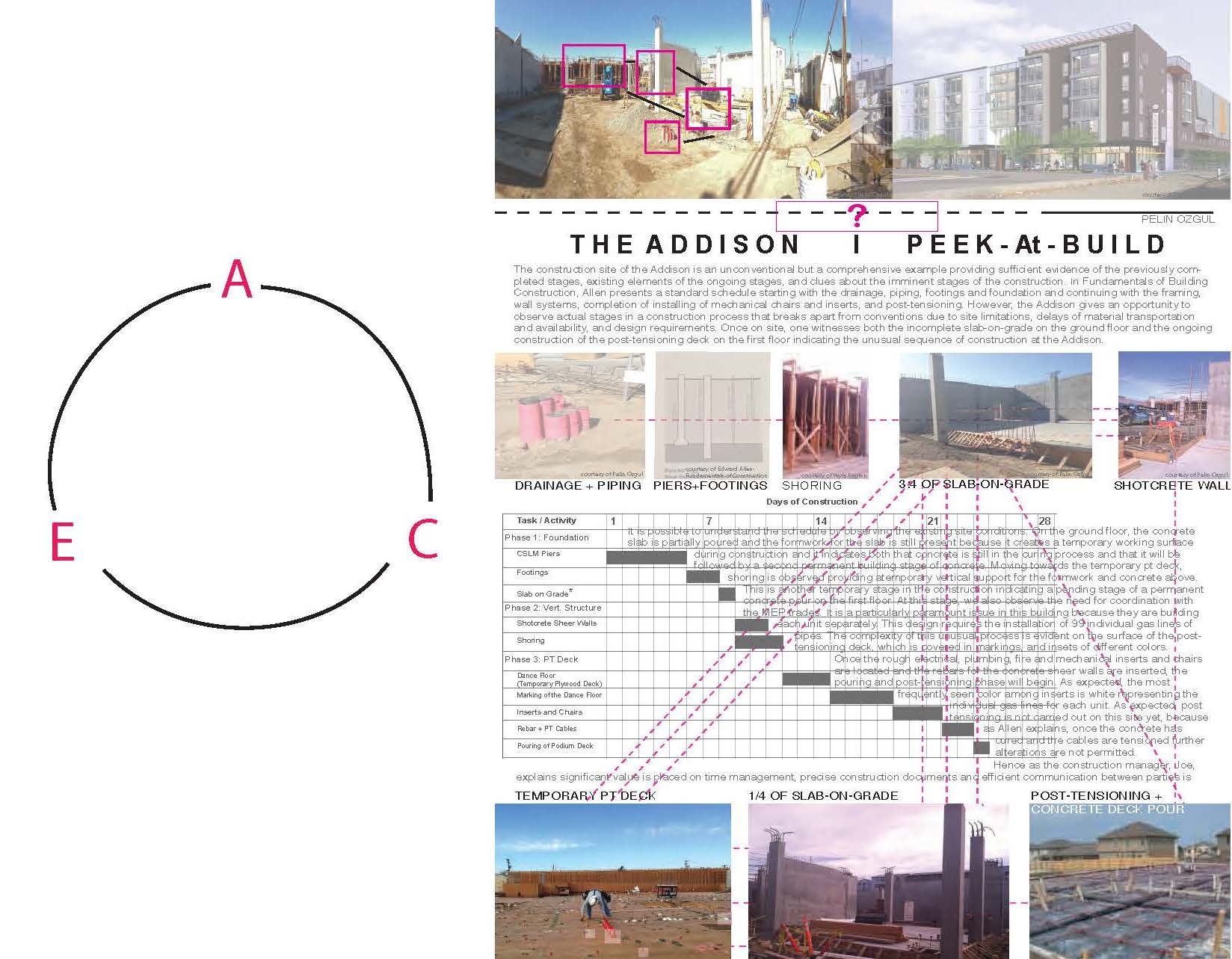 Pelin Ozgul_project 12